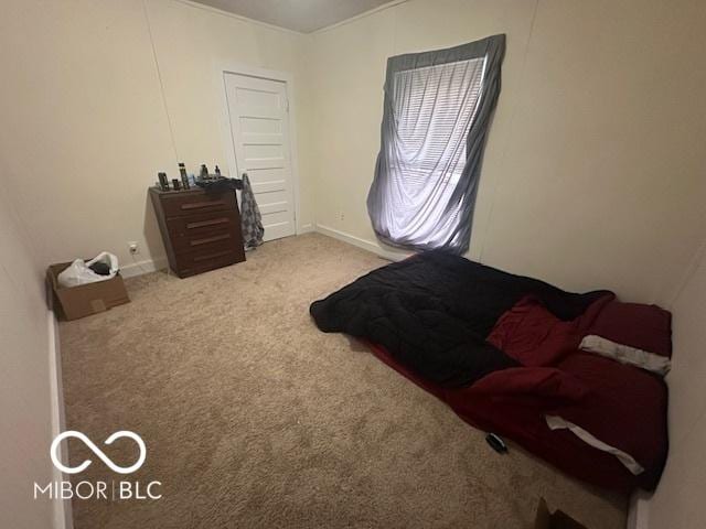 bedroom with light colored carpet