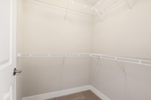 walk in closet with carpet