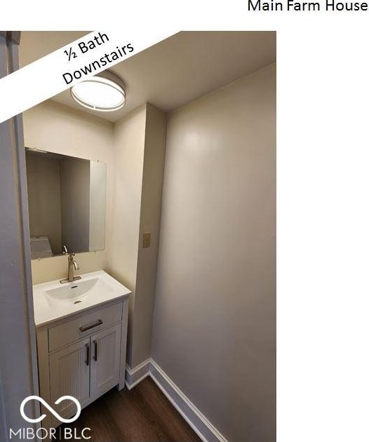 bathroom with wood-type flooring and vanity