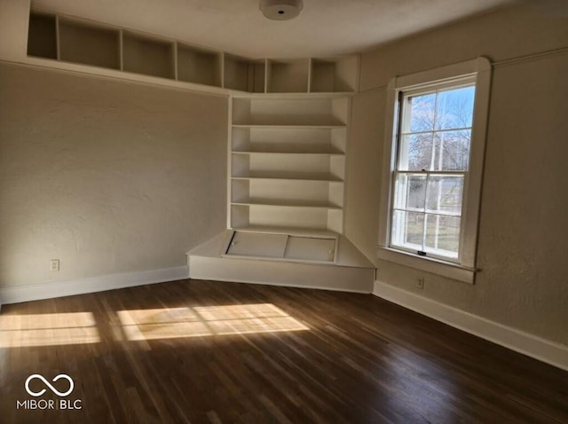 interior space featuring a healthy amount of sunlight and dark wood-type flooring