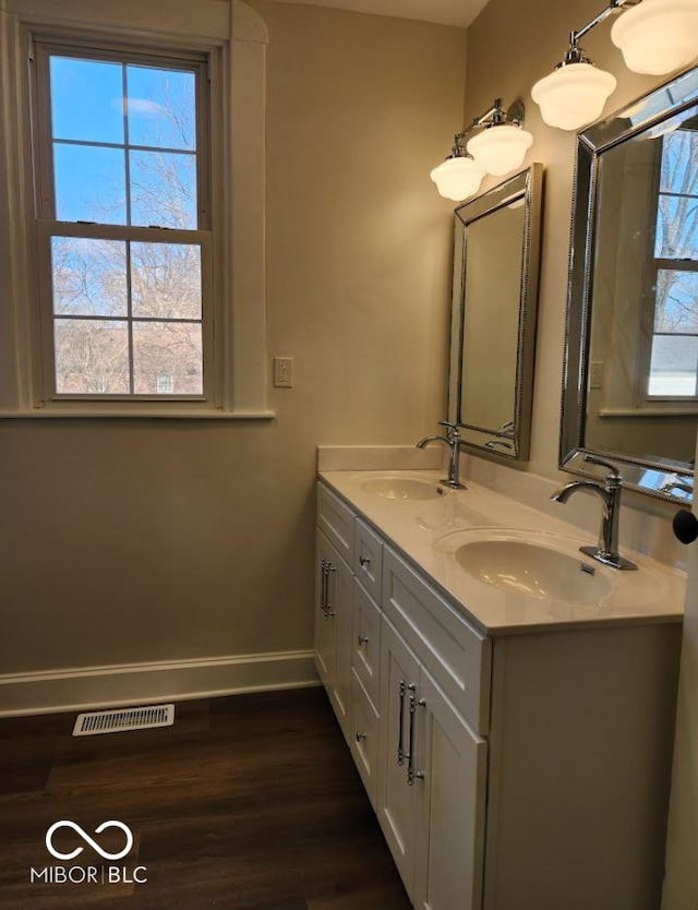 bathroom with hardwood / wood-style flooring and vanity