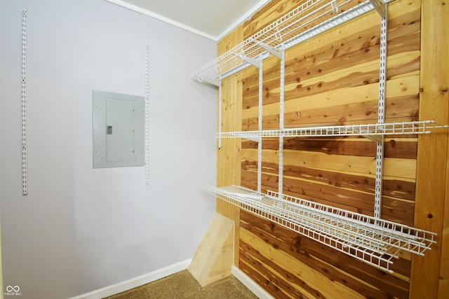 walk in closet featuring carpet flooring and electric panel