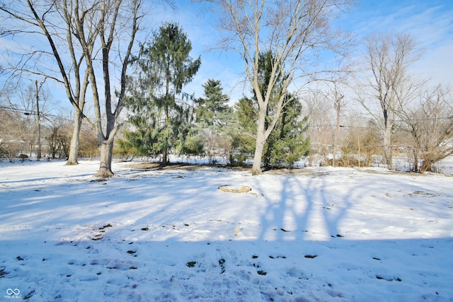 view of yard covered in snow