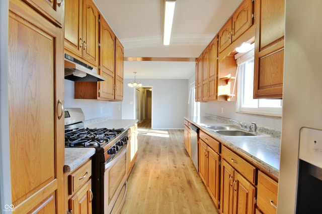 kitchen featuring pendant lighting, sink, an inviting chandelier, stainless steel appliances, and light hardwood / wood-style floors