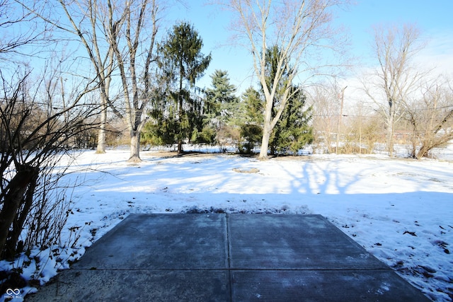 view of yard covered in snow