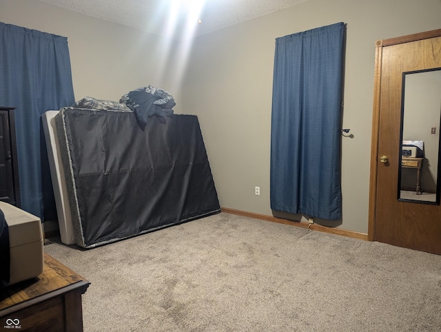 bedroom featuring carpet flooring and a textured ceiling