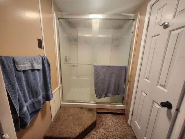 bathroom with a shower with shower door