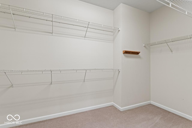 walk in closet with carpet