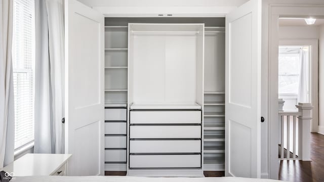 view of closet