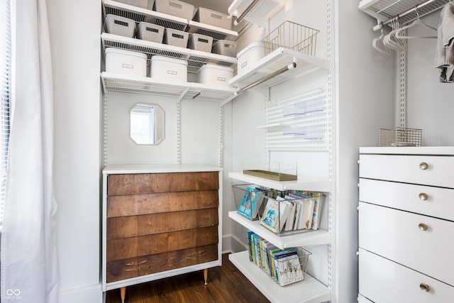 spacious closet featuring dark wood-type flooring