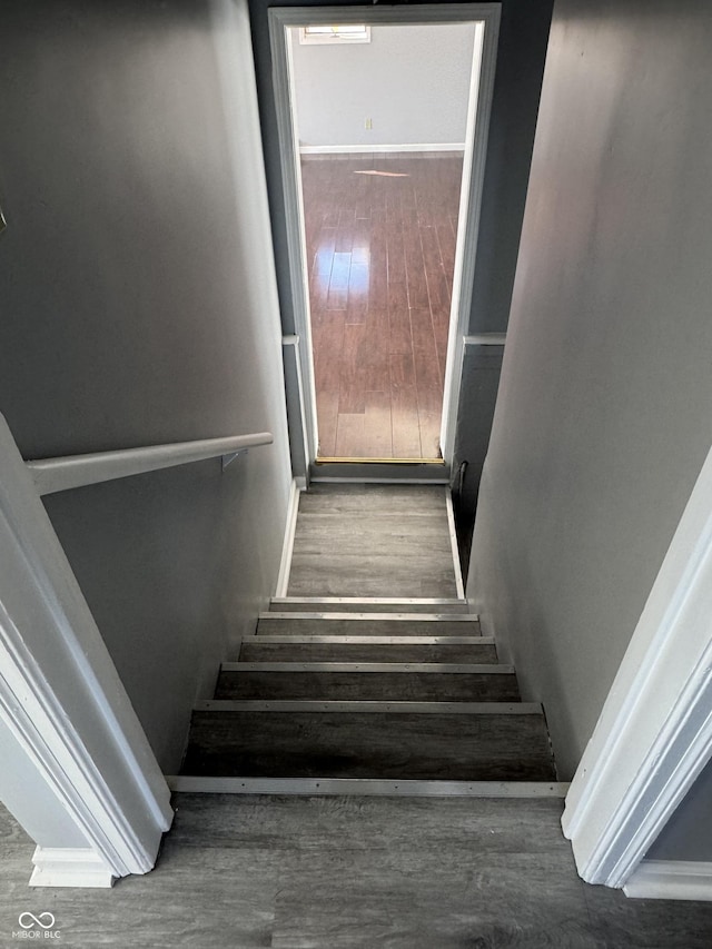 staircase featuring wood-type flooring