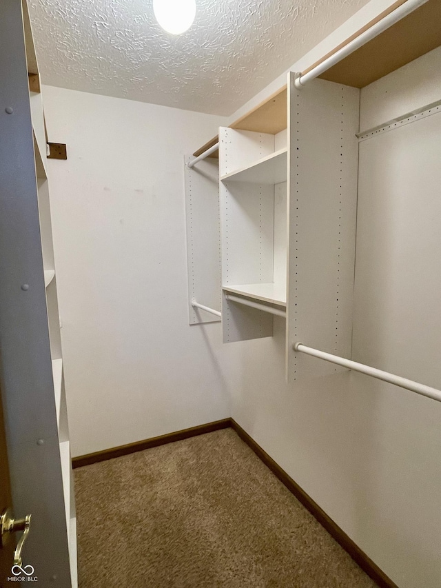 walk in closet with carpet floors