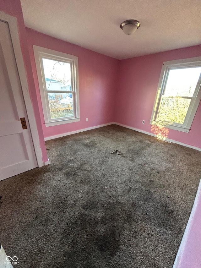 unfurnished room with a healthy amount of sunlight and carpet flooring