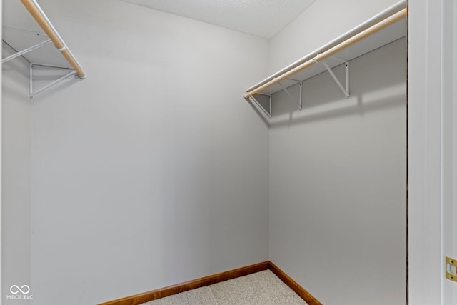 spacious closet with carpet flooring