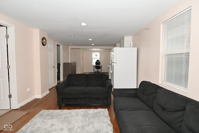 living room with hardwood / wood-style flooring