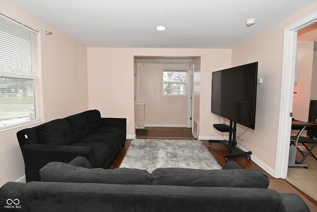 living room featuring hardwood / wood-style flooring