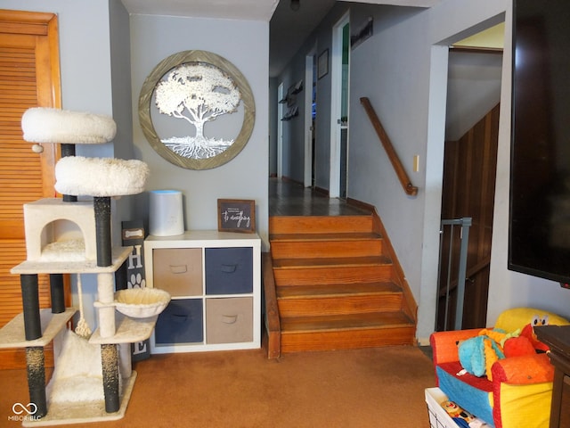 staircase featuring carpet flooring