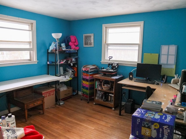 office featuring wood finished floors