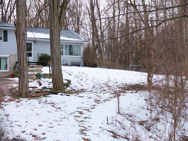 view of yard covered in snow