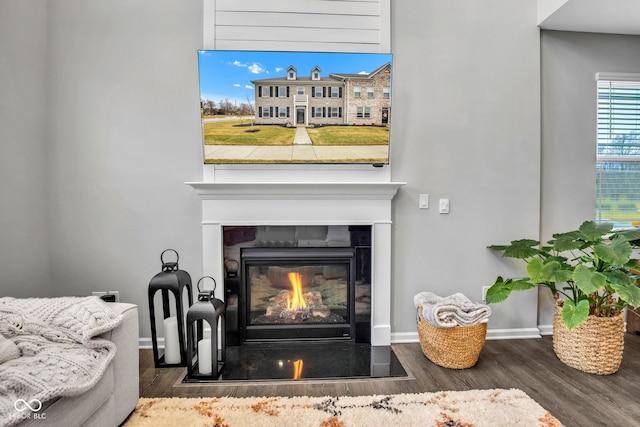 interior details featuring hardwood / wood-style floors