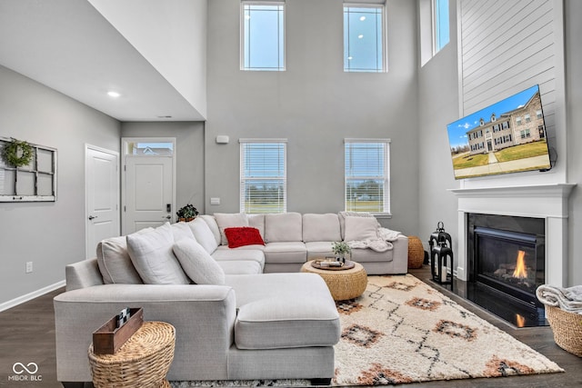 living room featuring dark hardwood / wood-style flooring