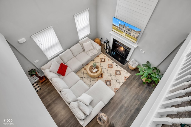 living room with dark hardwood / wood-style flooring