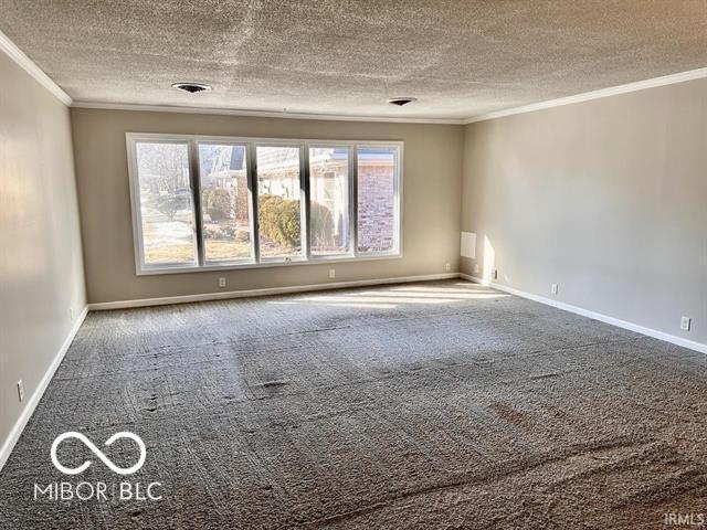 carpeted empty room featuring ornamental molding and a textured ceiling