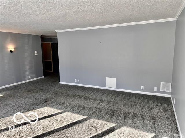 carpeted empty room with ornamental molding and a textured ceiling