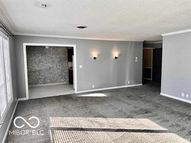 carpeted spare room featuring ornamental molding and a textured ceiling