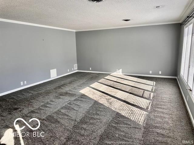 carpeted spare room with ornamental molding and a textured ceiling