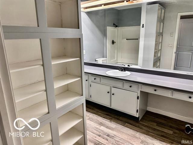 bathroom featuring wood-type flooring and vanity