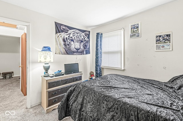 bedroom with carpet