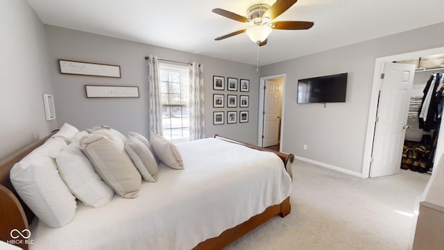 bedroom with a walk in closet, a closet, ceiling fan, and carpet flooring