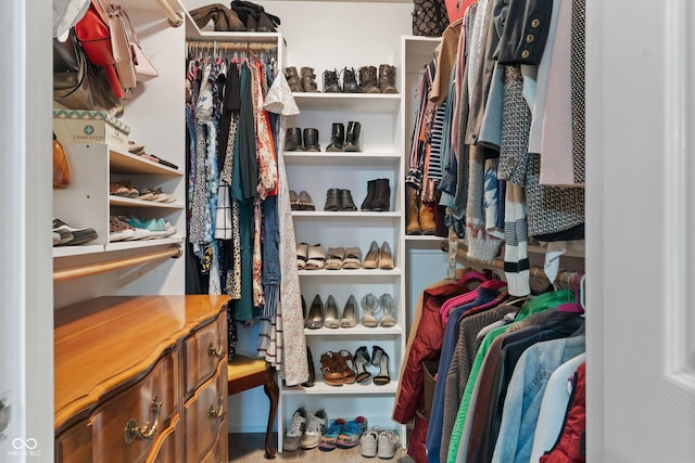 view of spacious closet