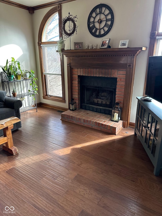 living room featuring a fireplace and hardwood / wood-style floors