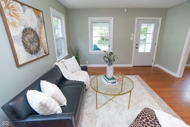 living room featuring wood-type flooring