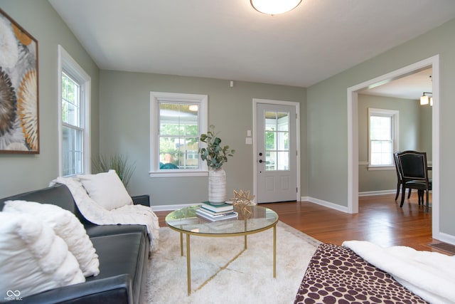 living room featuring dark wood-type flooring