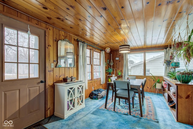 carpeted dining room with wood ceiling and wooden walls