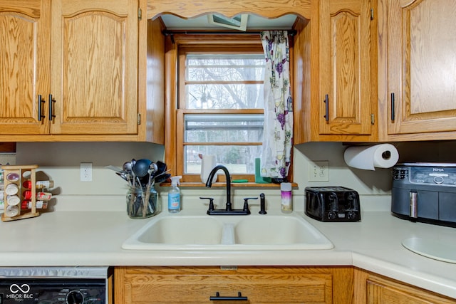 kitchen with dishwasher and sink