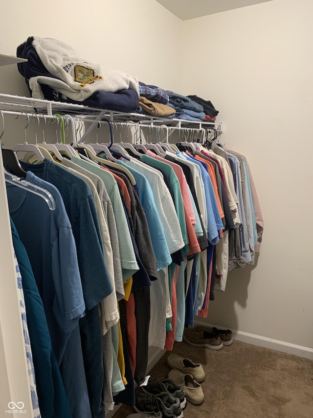 spacious closet featuring carpet floors