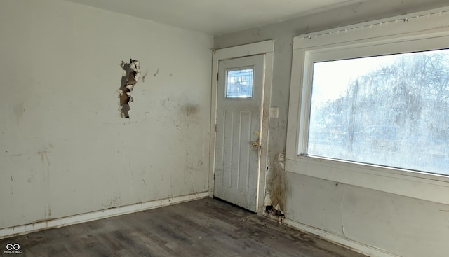 entrance foyer featuring dark wood-type flooring and plenty of natural light