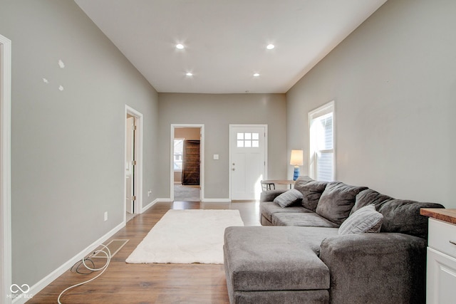 living room with wood-type flooring