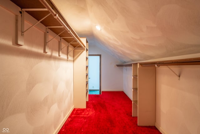 spacious closet with lofted ceiling and carpet floors