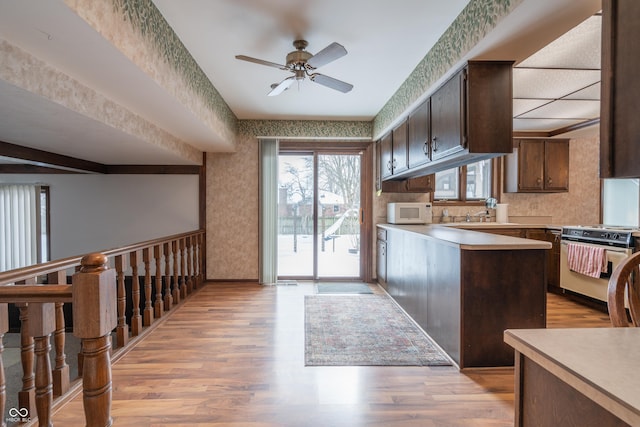 kitchen with electric stove, dark brown cabinets, ceiling fan, and light wood-type flooring