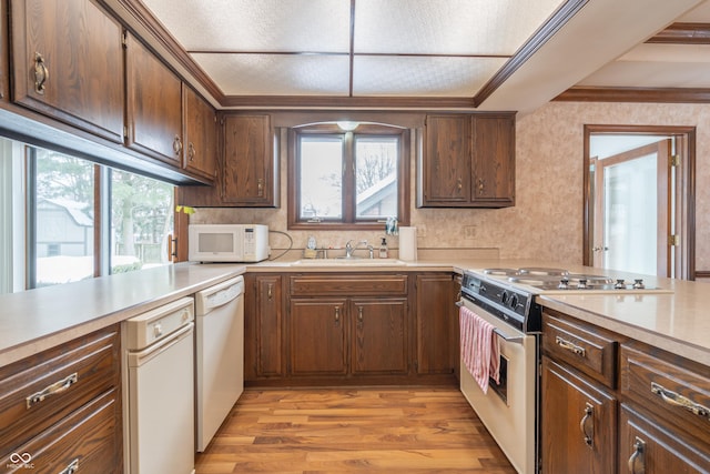 kitchen with crown molding, plenty of natural light, sink, and white appliances