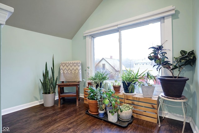 sitting room featuring lofted ceiling, a healthy amount of sunlight, baseboards, and wood finished floors