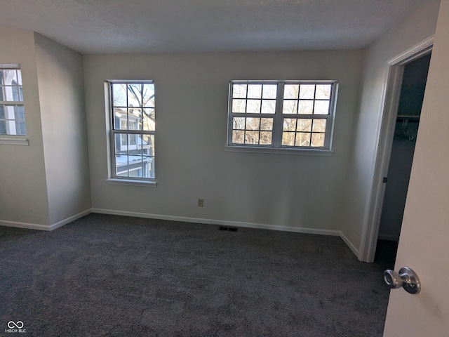 carpeted spare room with a textured ceiling and a wealth of natural light