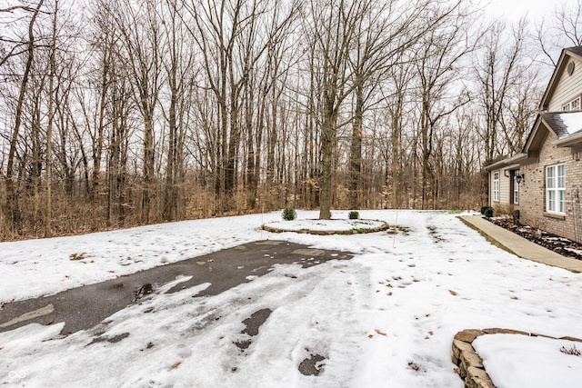 view of yard covered in snow