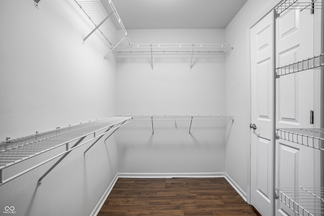 walk in closet featuring dark hardwood / wood-style flooring