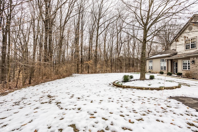 view of yard covered in snow